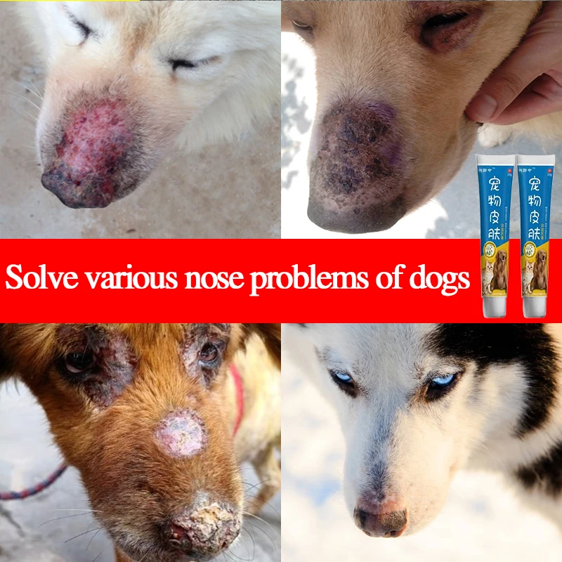 Anti-bakteriaalne kreem naha eest hoolitseda lemmiklooma koera kassi nina, juuste väljalangemine, raig ja fester